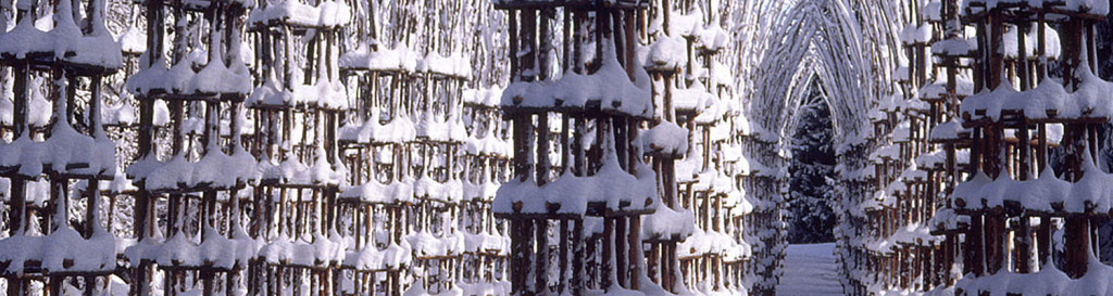 cattedrale_valsella03top